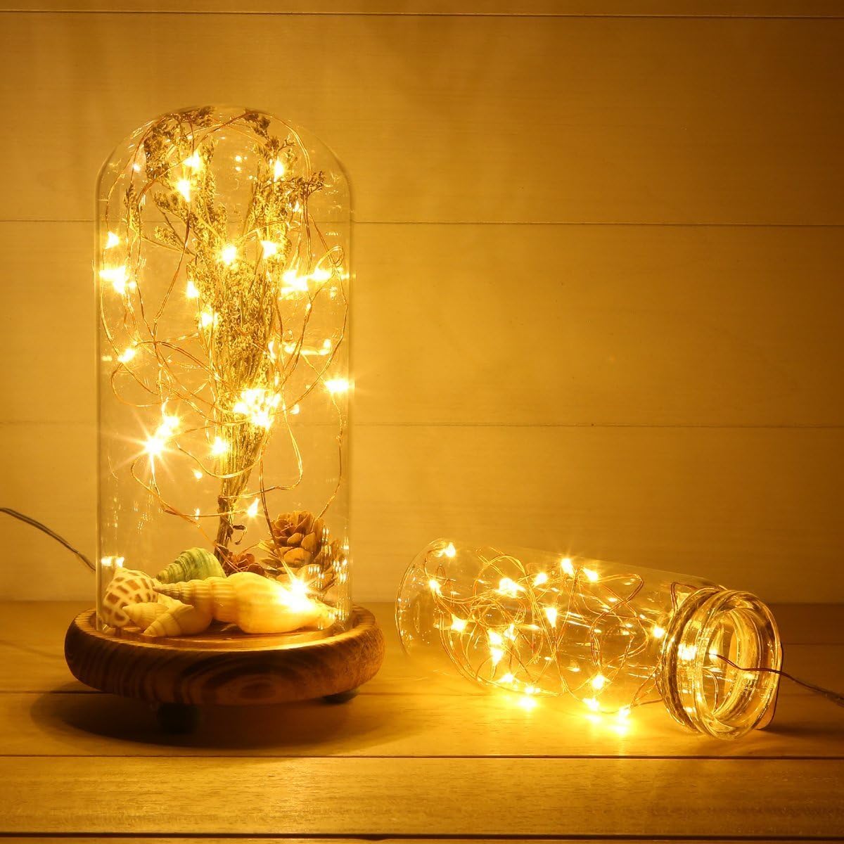 ANJAYLIA Fairy Lights - 16.5Ft Battery Operated LED String Lights for Home, Party & Wedding Decor | Warm White