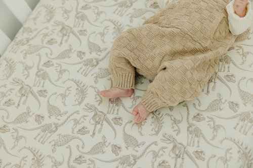 Copper Pearl Premium Knit Baby Crib Sheets for Boys and Girls : Breathable and Soft, Fitted Crib Sheets for Standard Baby Mattresses, Crib Sheet, Baby Registry or Shower Gift, Jurassic Park Fossils