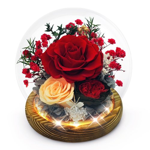 DAKEYUN Preserved Flowers Birthday Gifts for Women Preserved Rose in Glass Dome Forever Fresh Flowers for Delivery Prime Red Eternal Rose Gifts for Her Valentines Day Anniversary for Wife Girlfriend