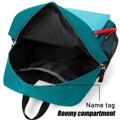 HawLander Little Kids Backpack for Boys or Girls, Toddler School Bag Fits 3 to 6 years old, D Green Blue, 12 Inch