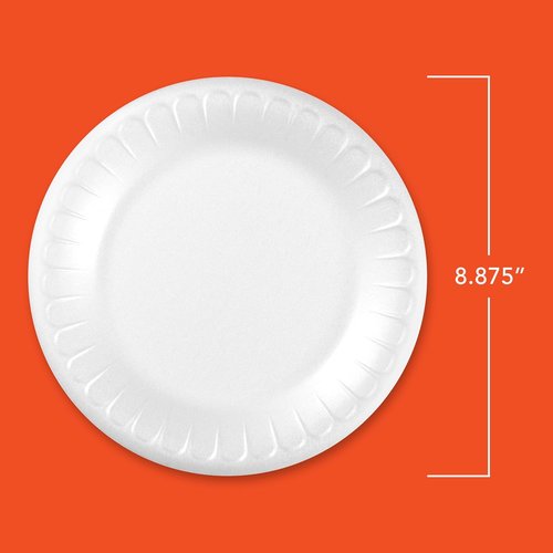 Hefty Disposable Foam Plates - Soak Proof, 8.9 Inches, 100 Count | Perfect for Lunch & Appetizers