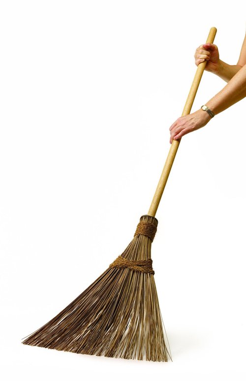 Garden Broom