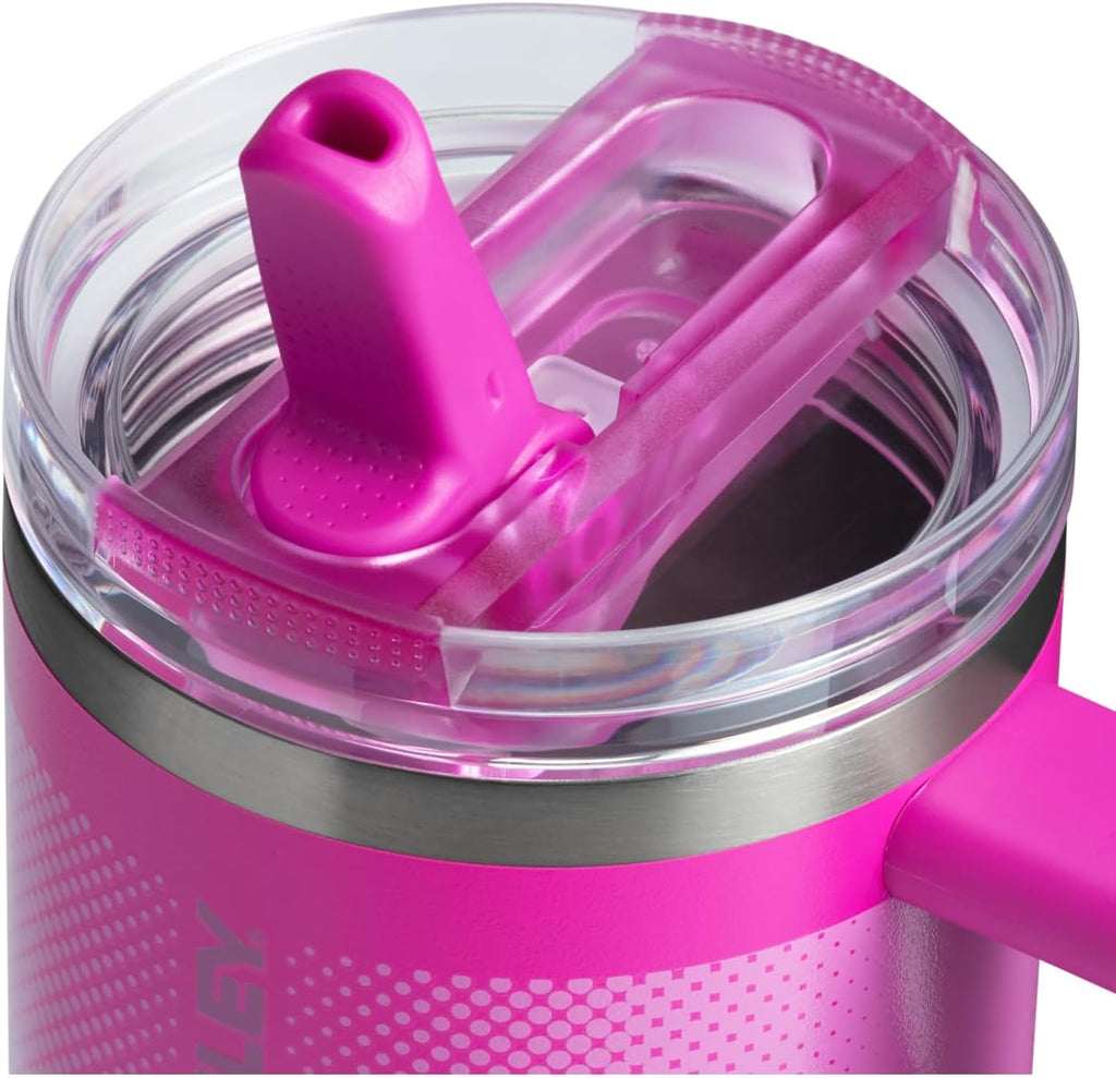 STANLEY Quencher ProTour Tumbler - 20 oz Insulated Stainless Steel with Flip Straw & Leakproof Lid | Vivid Violet Fade