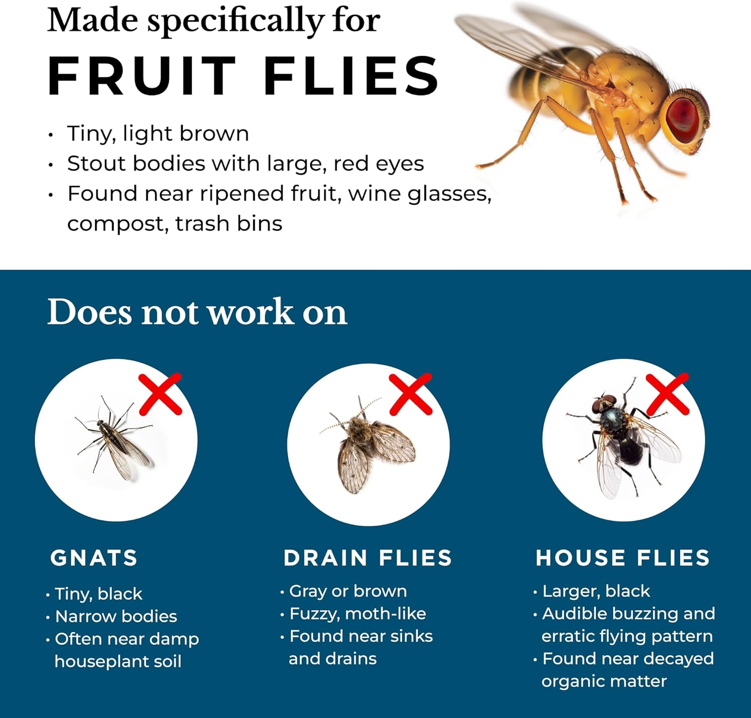 Wondercide - Fruit Fly Traps for Indoors - Fruit Fly Killer - Pet and People Safe - Made in USA & Plant Based - 5.4 oz - 2 Pack