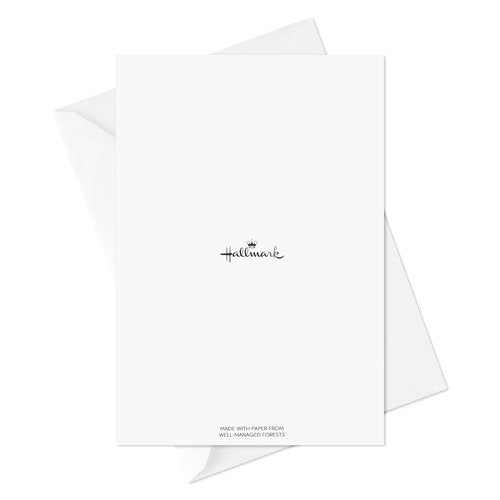 Hallmark Graduation Cards Bulk Assortment, Celebrate (36 Cards and Envelopes, 6 Designs)