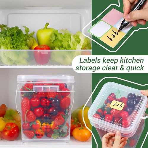 UMETASS 1Gal Clear Square Bucket with Airtight Lids, BPA-Free Food Storage Container for Kitchen Pantry, Meal Prep, Snack, Rice, Flour, Pet Food - Transparent Bucket with Scale Marks (2x4 Qt, 2x1 Qt)