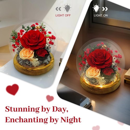 DAKEYUN Preserved Flowers Birthday Gifts for Women Preserved Rose in Glass Dome Forever Fresh Flowers for Delivery Prime Red Eternal Rose Gifts for Her Valentines Day Anniversary for Wife Girlfriend