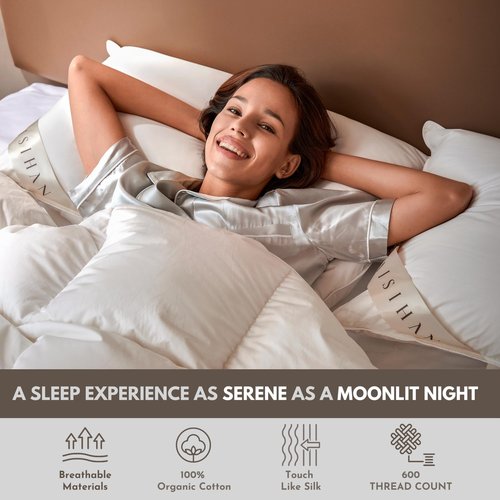 baisihan Premium Goose Down Pillows Standard Size - 700+ Fill Power, Down Pillow for Stomach Sleeper, 100% Cotton 500 TC Cover Down Pillow Standard Size Plush Pillow 1 Pack 20"x26"