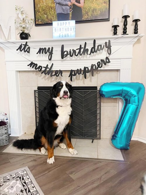 Light Blue Number 9 Balloon by [Brand Name] - 40 Inch Birthday Party Decoration for 9, 19, 90 Celebrations