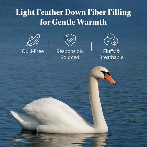Oaken-Cat Goose Feather Down Fiber Comforter Queen Size - 100% Organic Cotton Shell All Season Duvet Insert, Medium Warmth Hotel Luxury Bedding Comforter(90x90 Inch, White)