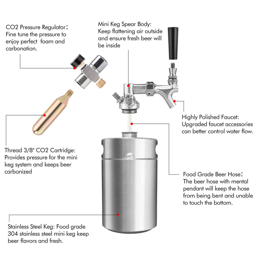 TMCRAFT 64oz Pressurized Mini Keg Growler, Portable Stainless Steel Home Keg Kit System with Updated Co2 Regulator Keeps Fresh and Carbonation for Homebrew, Craft and Draft Beer