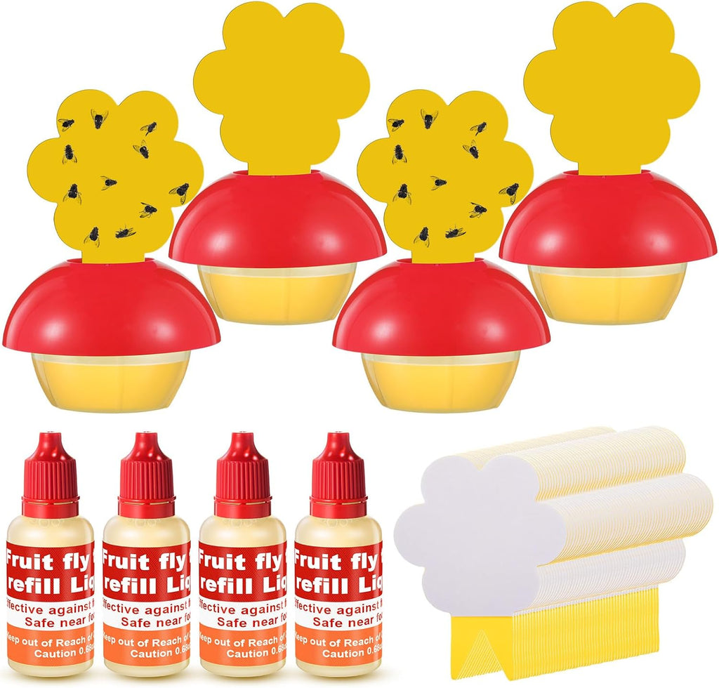Qualirey Fruit Fly Trap - Safe Indoor Solution with 4 Refill Liquids & 60 Sticky Pads | Red