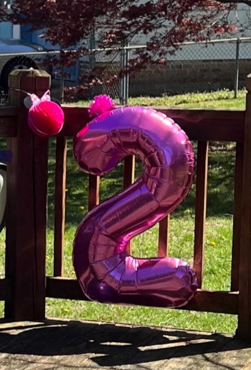 Skiennix 40-Inch Balloon Numbers - Big Rose Purple Birthday & Wedding Party Decor | 5 Balloons