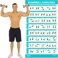 Vive Dumbbell Workout Poster - Comprehensive Home Gym Exercise Guide | Laminated Bodyweight Chart (30" x 17")