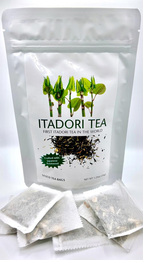 Itadori Tea - Organic Black Tea With Japanese Knotweed For Resveratrol & Immune Support, Antioxidant-Rich, All-Natural Ingredients, 14 Tea Bags for Holistic Wellness