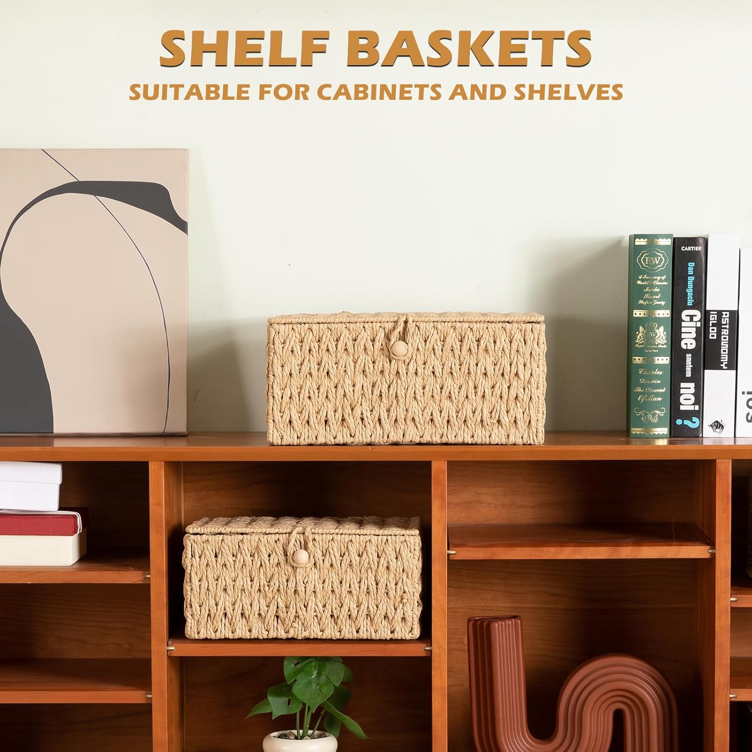 OIAHOMY Wicker Storage Baskets - Lidded Organizing Bins with Lock | Set of 2 in Natural Color