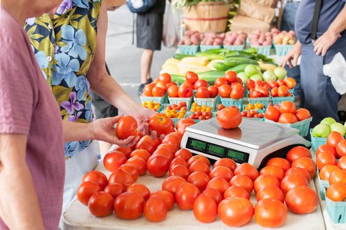 BROMECH Price Computing Scale, 66lb Digital Commercial Food Meat Produce Weighing Scale with Green Backlight LCD for Farmers Market, Retail Outlets, Dry Battery Powered, Not for Trade
