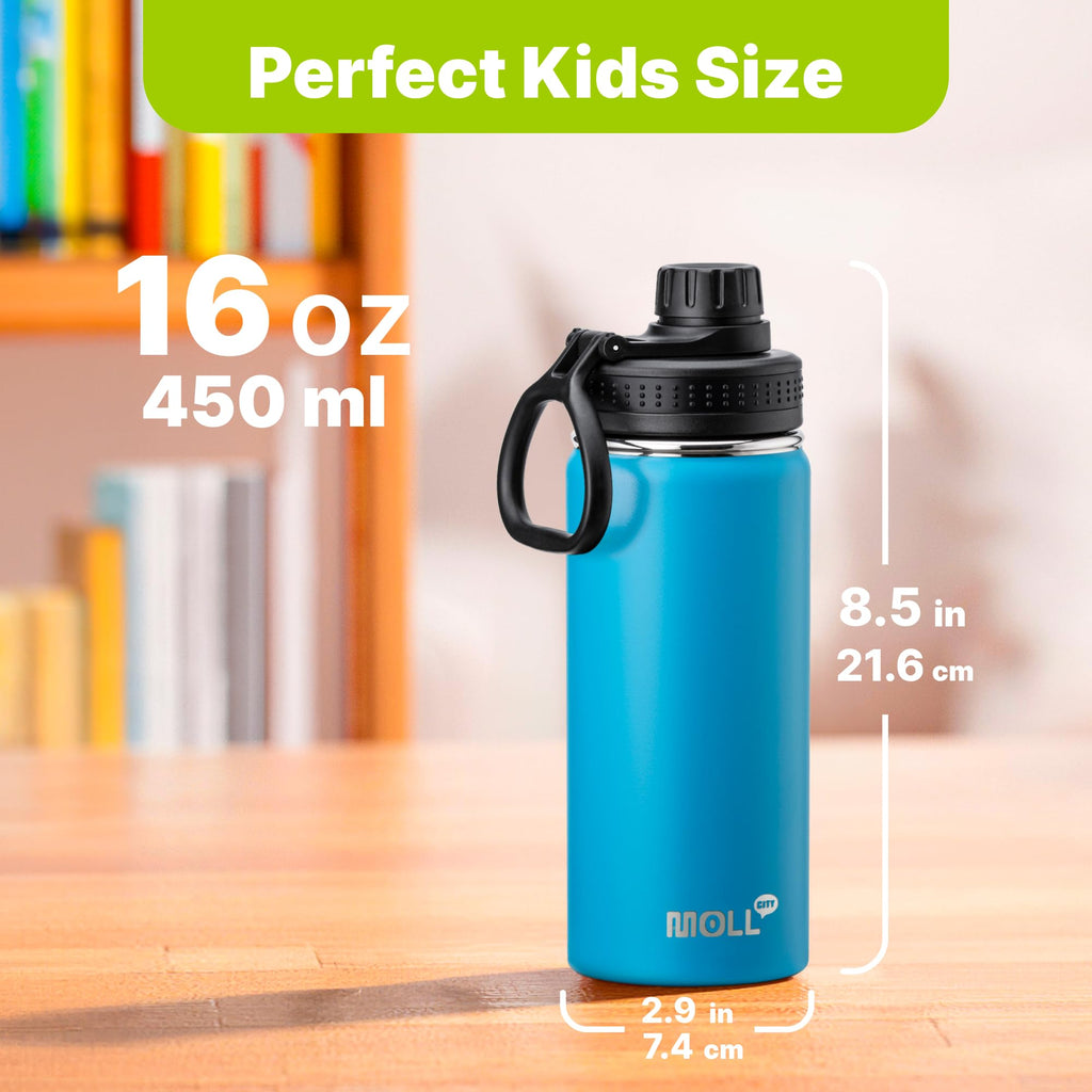 Mollcity 16 oz Water Bottle Stainless Steel Vacuum Insulated Wide Mouth Sports Flask, 2 Pack Water Bottle with Leakproof Spout Lid (Canyon Red-Sky Blue)