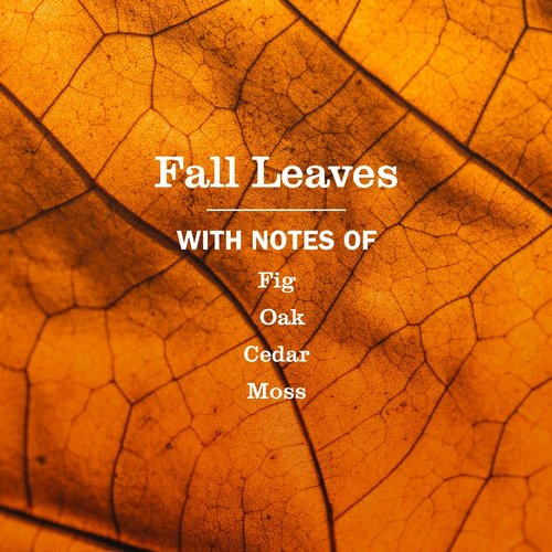 Mrs. MEYER'S CLEAN DAY Multi-Surface Everyday Cleaner, Fall Leaves Scent, 16 Fl Oz Bottle - 3 Pack