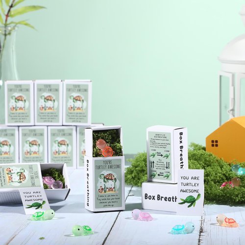 Wonderjune Employee Appreciation Gifts Bulk Emotional Coworker Support Small Gifts for Teacher Social Worker Volunteer Lab Week Office Staff End of Year Presents Adults Party Favors(Turtle)