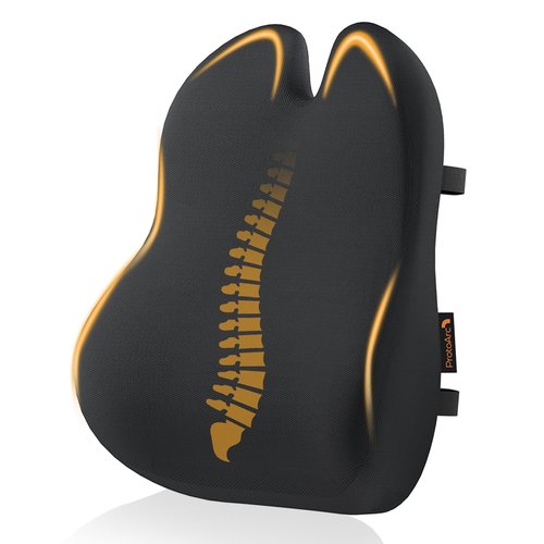 ProtoArc Lumbar Support Pillow for Office Chair, Memory Foam Back Support Pillow for Lower Back, Lumbar Cushion Desk Chair Back Cushion, Ergonomic Back Rest for Chair, Car, Home - Black