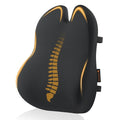 ProtoArc Lumbar Support Pillow for Office Chair, Memory Foam Back Support Pillow for Lower Back, Lumbar Cushion Desk Chair Back Cushion, Ergonomic Back Rest for Chair, Car, Home - Black