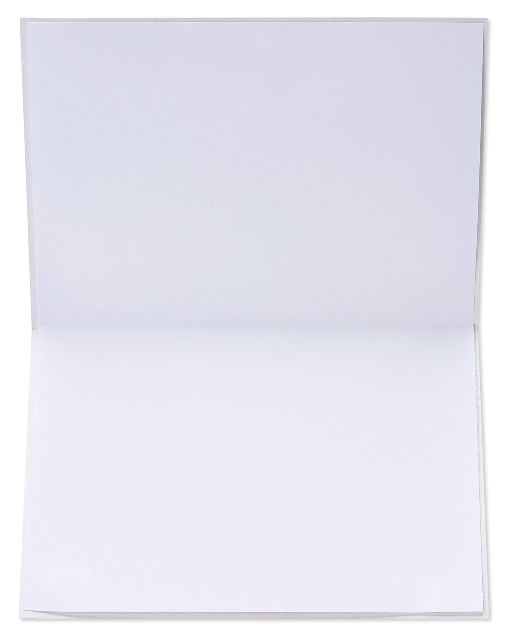 Papyrus Blank Mother's Day, Thinking of You Card (Cherry Blossoms)