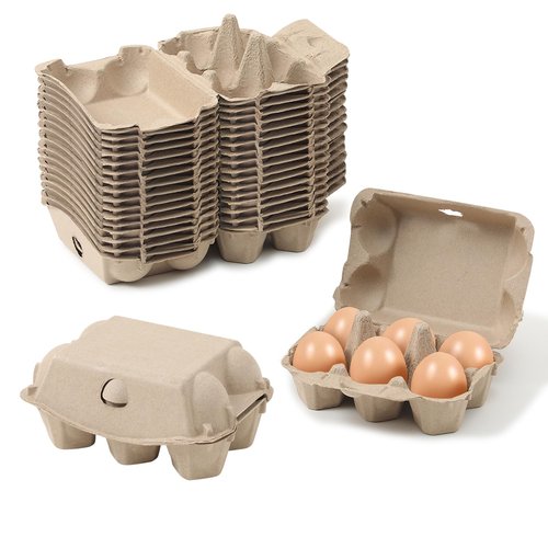 Dubtnion 15 Pack Egg Cartons Cheap Bulk, 6 Count Egg Storage Containers Holder, Sturdy Natural Pulp Material Perfect for Storing Extra Eggs