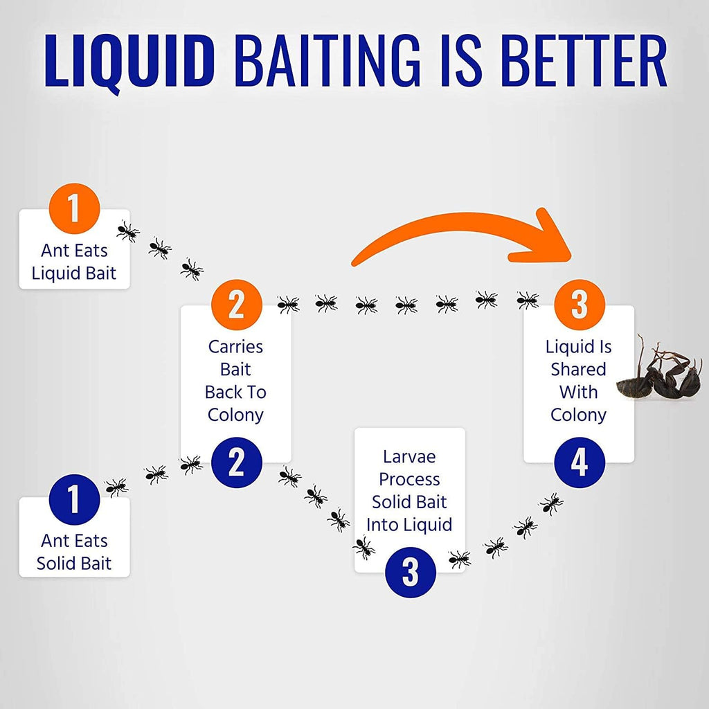 Terro Ant Bait Stations - Effective Liquid Formula for Quick Ant Control | 8-Pack