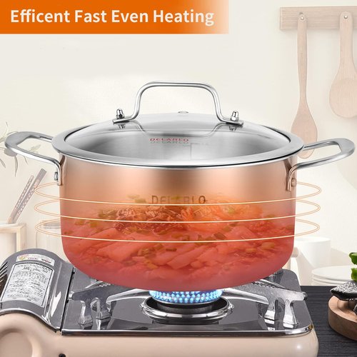DELARLO Tri-Ply Stainless Steel 6QT Pot with Lid, Induction Ready, 6 Quart with Lid, Durable, Noodle Pot, 18/10 Heavy Duty for Cooking, Suit for All Stove, Up to 600℉(Lids 300℉)