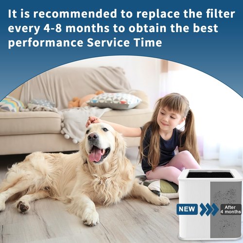 Amboseli 2-Pack Premium Filter Replacement Compatible with 211+ Air Purifier, 2-in-1 Replacement Filter