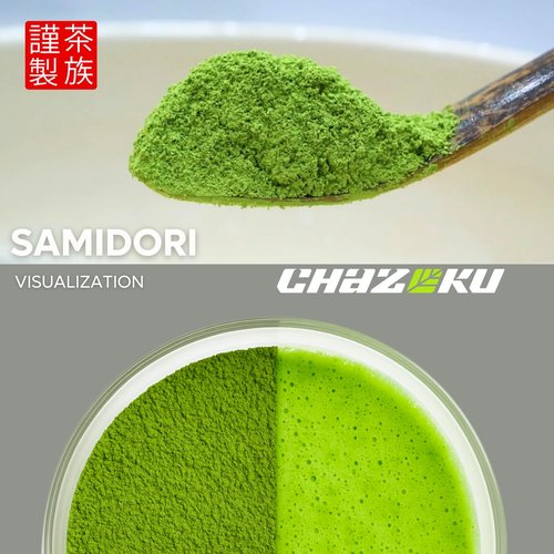 Chazoku Samidori Matcha Green Tea Powder - Ceremonial Grade, First Harvest - 35g Tin | Authentic Japanese Blend