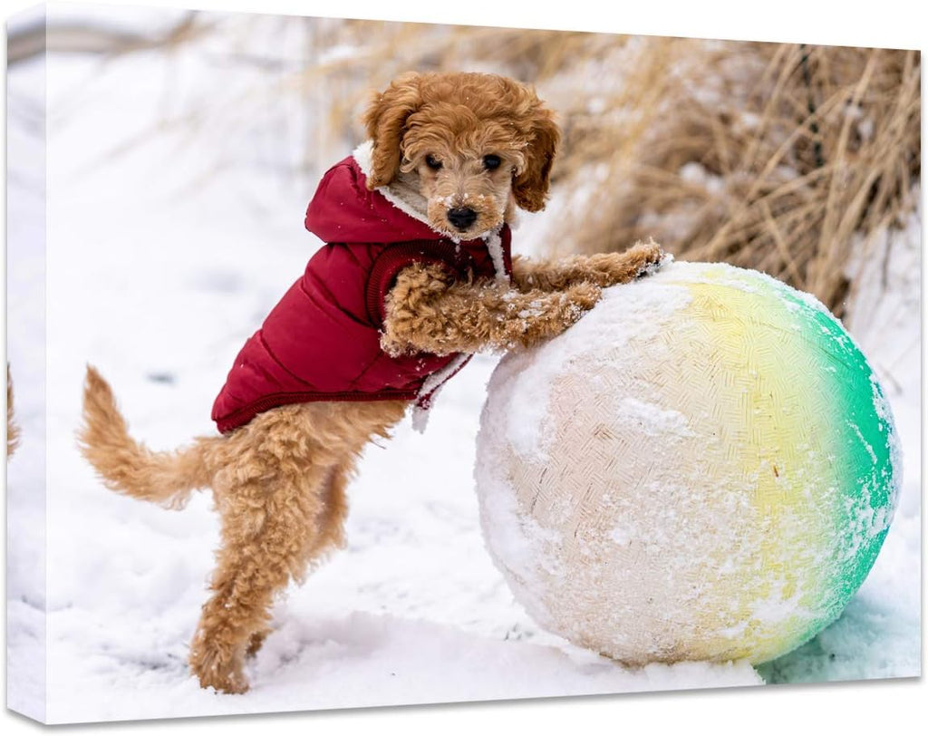 Personalized Canvas Print by [Brand Name] - Custom Photo Wall Art for Bedroom, Living Room & More | 20" W x 16" H