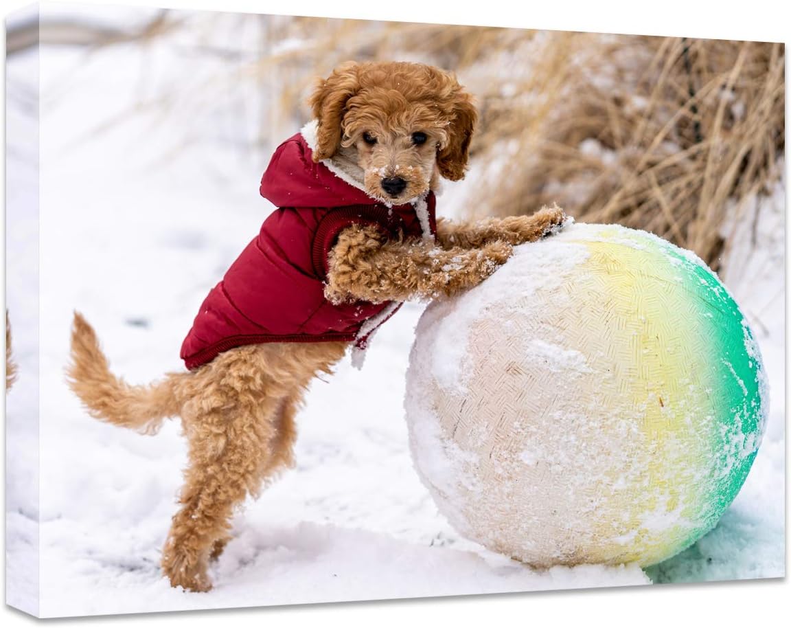Personalized Canvas Print by [Brand Name] - Custom Photo Wall Art for Bedroom, Living Room & More | 20" W x 16" H