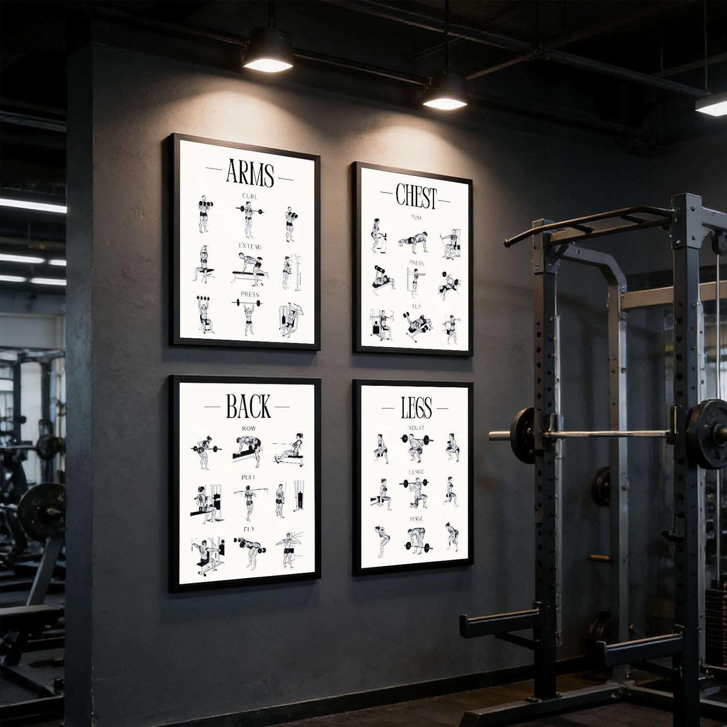 Skiennix Fitness Exercises Wall Art - Dumbbell Workout Poster for Gym & Home Decor | Strength Training