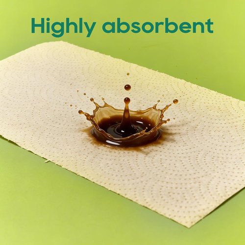 ECOlipak Paper Towels - Soft & Absorbent 2-Ply | 120 Sheets, 8 Rolls - Plastic-Free & Compostable