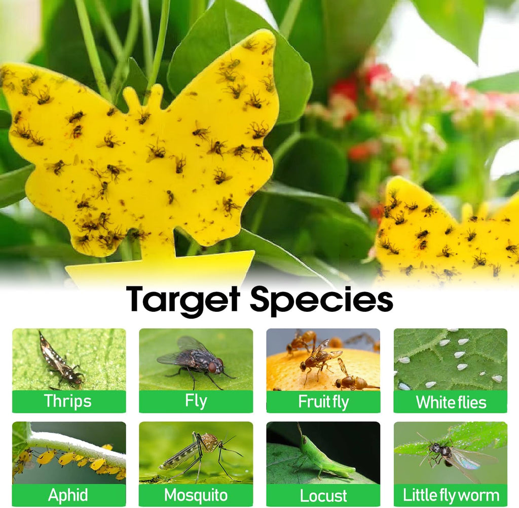 Skiennix 58 Pack Flying Insect Traps - Non-Toxic Yellow Sticky Traps for Gnats, Flies & Bugs | Indoor & Outdoor Use
