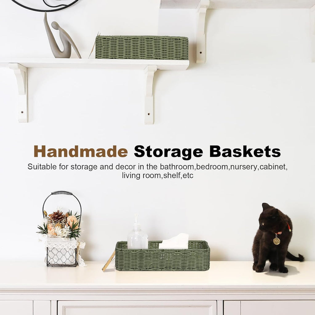 Regine Switzerland Wicker Storage Basket - Green Decorative Bin for Countertops & Shelves