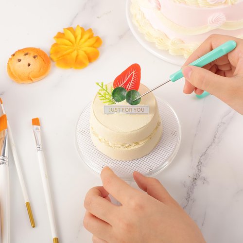 Cookie Decorating Supplies Including 2Pcs Acrylic Cookie Turntable 6Pcs Cookie Scribe Needle 4Pcs Silicone Mesh Mats 6Pcs Cookie Decoration Brushes 8Pcs Rubber Feet Bumpers