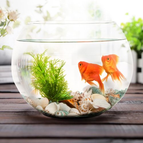 QEQEKAKA Sea Shells for Crafts - About 12 Kinds Beach Natural Mixed Seashells (0.4"-2") with Conch Shells | Fish Tank Decorations, Beach Party Supplies, Vase Fillers, Ocean Theme Home Wedding Decor