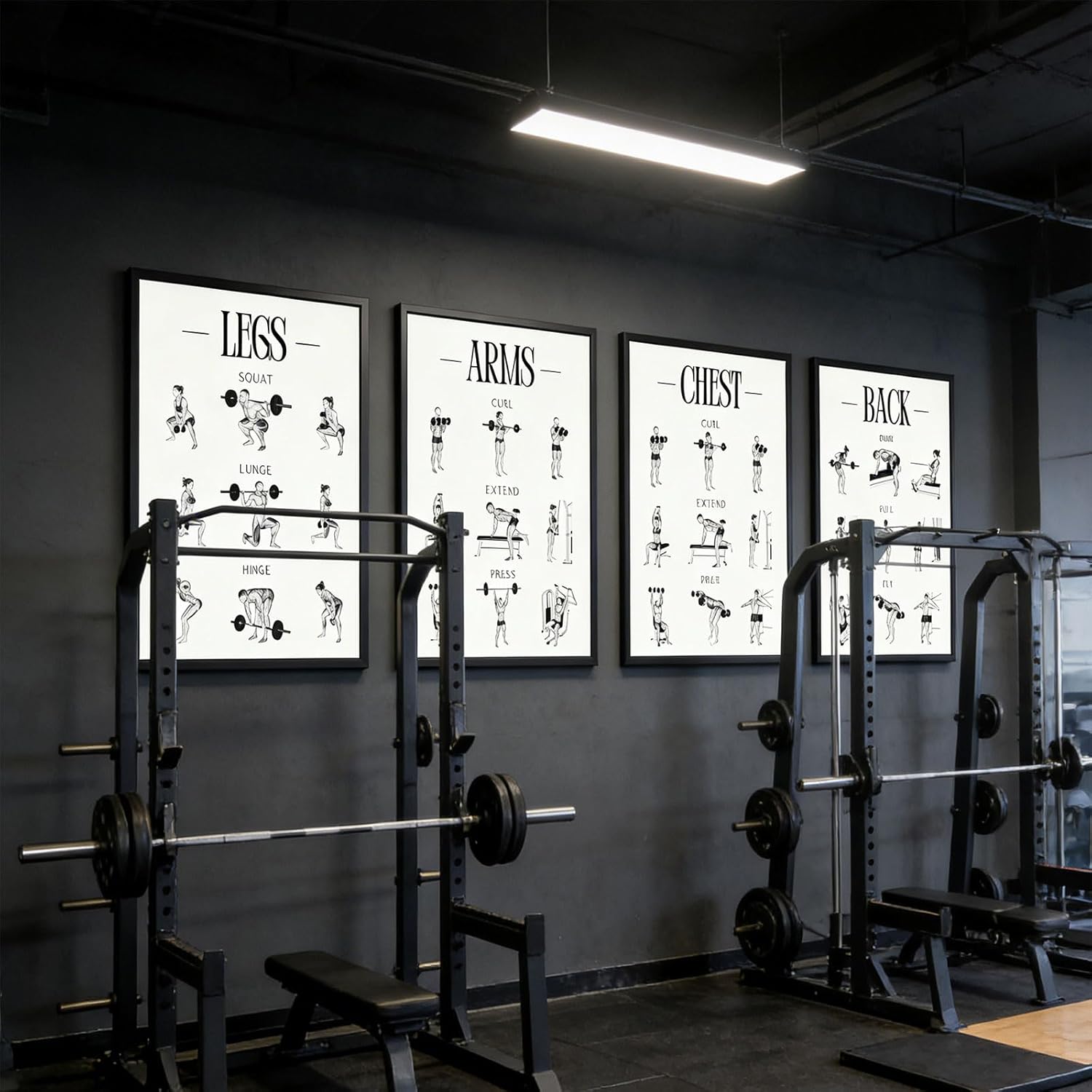 Skiennix Fitness Exercises Wall Art - Dumbbell Workout Poster for Gym & Home Decor | Strength Training
