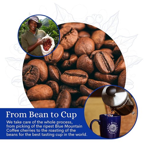 Cafe Blue – 100% Authentic Jamaica Blue Mountain Coffee from Clifton Mount Estate, Medium Roast Whole Bean, Premium Arabica Beans, Bag of 16 Ounces (1 Pound, 454 Grams)