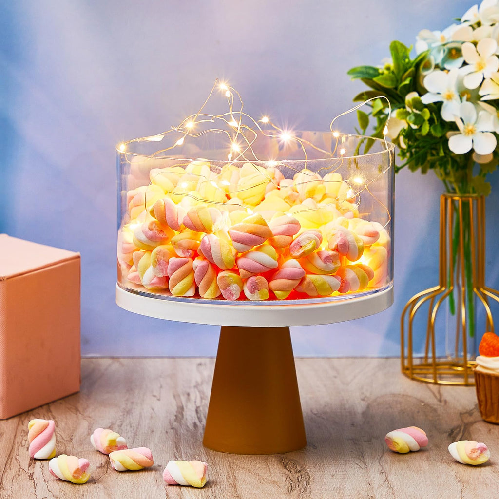 Sunnyray 2 Pcs Acrylic Cake Stands for Dessert Table Clear Fillable Cake Riser Cupcake Tier with LED Strings for Birthday Wedding Holiday Party Display(14'', 16'')