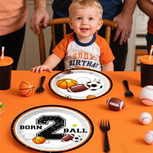 291 PCS Born 2 Ball Birthday Decorations, All-in-One Party Pack with Backdrop, Balloon, Plates and Napkins, for Ball Themed 2nd Birthday Party, Serves 25 Guests