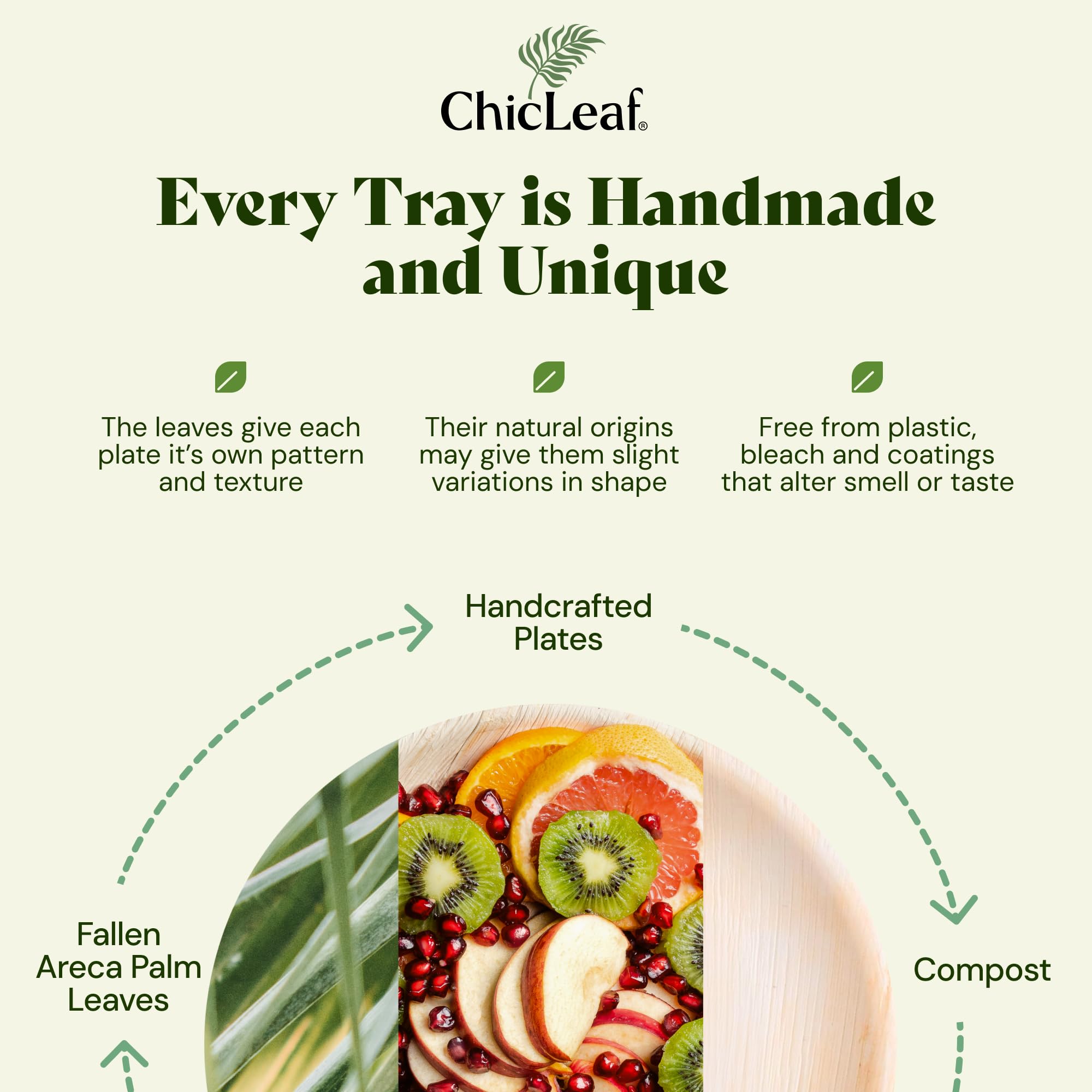 Chic Leaf Palm Leaf Serving Trays - 10x14 in, 10 Pack, Compostable
