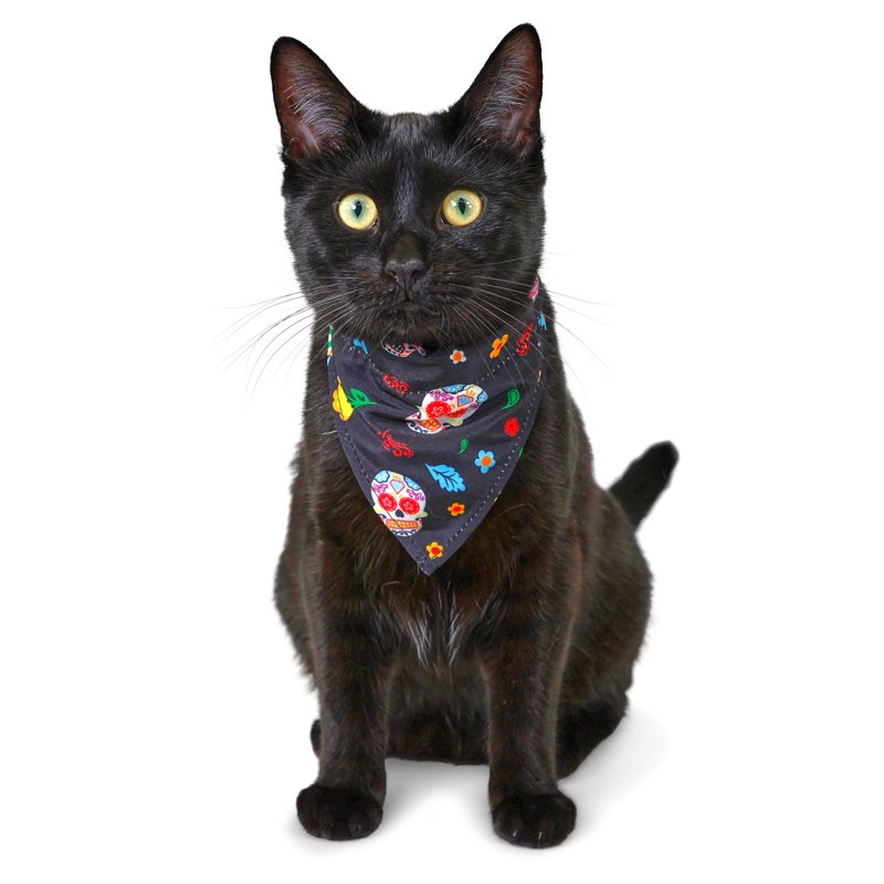Halloween Cat Collar Set with Bandana and Bow Tie - Adjustable, 3 Pieces