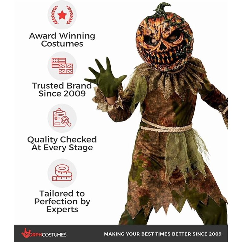 Halloween Boy Costume - Scarecrow Pumpkin Fancy Dress for Boys Medium - Variation M
