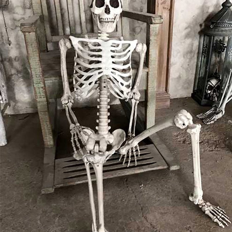 Halloween Skeleton Prop Full Size Human Skull Hand Body Decor for Halloween