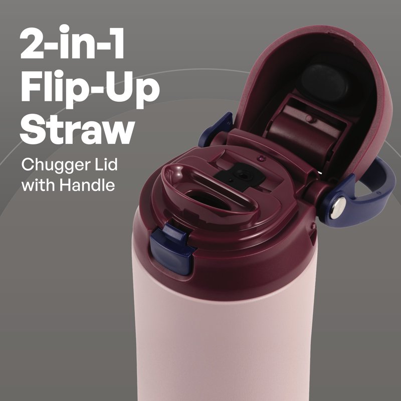 24oz Stainless Steel 2-in-1 Straw & Chug Water Bottle - Mauve