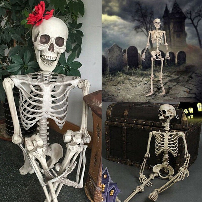 15.7 Inch Human Skeleton Halloween Decoration with Movable Joints - Party Prop